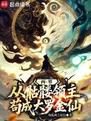 两界：从骷髏领主苟成大罗金仙